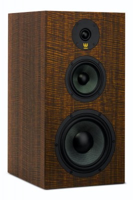WILSON-17